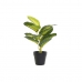 Dekorativna rastlina DKD Home Decor PVC polipropilen 25 x 25 x 30 cm
