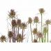 Dekorativna rastlina DKD Home Decor 40 x 40 x 150 cm Roza Lila Polietilen PVC (2 kosov)