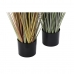 Dekorativna rastlina DKD Home Decor Rjava Polietilen Zelena PVC 40 x 40 x 120 cm (2 kosov)
