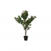 Dekorativna rastlina DKD Home Decor Roza Zelena PE (60 x 60 x 125 cm)
