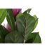 Okrasná rastlina DKD Home Decor Ružová zelená PE (60 x 60 x 125 cm)