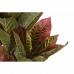 Decoratieve plant DKD Home Decor Bruin Polyethyleen Groen 50 x 50 x 140 cm