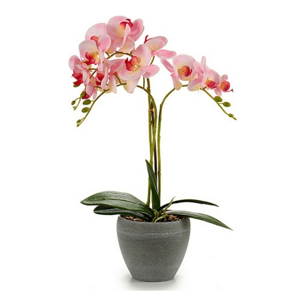 primer ministro Buena suerte cultura Flores Decorativas Orquídea Plástico Maceta Redonda Gris (25 x 50 x 36 cm)  | Comprar a precio al por mayor