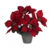 Pianta Decorativa Mica Decorations Rosso PVC