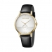 Relógio masculino Calvin Klein ESTABLISHED (Ø 43 mm)