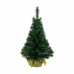 Vánoční stromeček Everlands Zelená (35 cm)