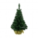 Pom de Crăciun Everlands Verde (60 cm)