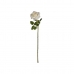 Flor Decorativa Branco Papel Plástico (12 Unidades)