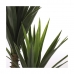 Decoratieve plant Mica Decorations Yucca (120 x 60 cm)