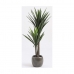 Декоративное растение Mica Decorations Yucca (120 x 60 cm)