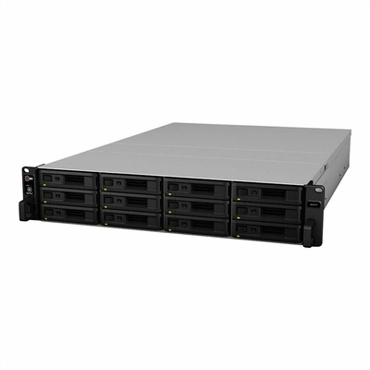 RAID-controllerkaart Synology RX1217
