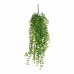 Dekoratyvinis augalas Mica Decorations pakabukas 81 cm Figa
