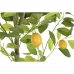 Albero DKD Home Decor Limone Poliestere polipropilene (90 x 90 x 180 cm)
