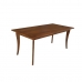 Jedálenský stôl DKD Home Decor Gaštanová Mangové drevo (180 x 90 x 76 cm)