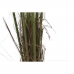 Dekorativna rastlina DKD Home Decor Palma (100 x 100 x 240 cm)