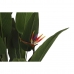 Okrasná rastlina DKD Home Decor (90 x 90 x 200 cm)