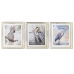 Tavla DKD Home Decor 40 x 1,6 x 60 cm Fåglar Medelhavs (3 Delar)
