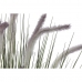 Dekor növény DKD Home Decor Halványlila (30 x 30 x 104 cm)