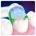 Atsarginė elektroninio dantų šepetėlio dalis Oral-B 80339356