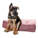 Κρεβάτιγια Σκύλους Hunter Lancaster Κόκκινο 100 x 70 cm