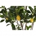 Tree DKD Home Decor Lemon tree Polyester (74 x 74 x 150 cm)