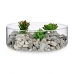 Pedras Decorativas 1,5 Kg Cinzento claro (8 Unidades)