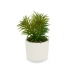 Декоративное растение Белый Зеленый (14 x 20 x 14 cm) (12 штук)