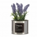 Dekorativ plante Plastik Lavendel Dåse 6 enheder
