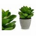 Plante décorative Gris Vert (16 x 21 x 16 cm) (6 Unités)