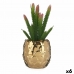 Dekorativ växt Keramik Gyllene Kaktus Grön Plast 6 antal