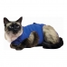 Recovery Vest for Pets KVP Blue 25-29 cm