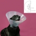 Guler elisabetan pentru câini KVP Betsy Transparent (45-56 cm)