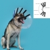 Erzsébet-kutya nyakörv (védőtölcsér) KVP EZ Clear (16-19 cm)