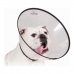Elizabethan Dog Collar KVP Saf-T-Clear Transparent (17-30 cm)
