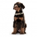 Dog collar Hunter Alu-Strong Brown Size S (30-45 cm)