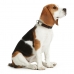 Dog collar Hunter Alu-Strong Beige Size M (40-55 cm)