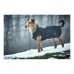 Kabát pre psa Norton 360 Uppsala 45 cm Čierna