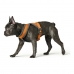 Pas za psa Hunter London Comfort 48-56 cm Oranžna Velikost S/M