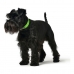 Dog collar Hunter Convenience Green Size M/L (42-50 cm)