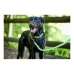 Koiran talutushihna Hunter HILO Lime väri (200 cm)