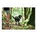 Lesă pentru câine Hunter HILO Lămâie verde (200 cm)
