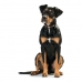 Dog collar Hunter Swiss Negro, marrón (24-28.5 cm)
