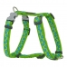 Dog Harness Red Dingo Style Star Green 30-48 cm