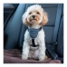 Упряжь для собак Company of Animals CarSafe Чёрный XS