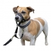 Collari da addestramento per cani Company of Animals Halti Nero Museruola (31-40 cm)