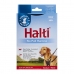 Harnais pour Chien Company of Animals Halti Taille M (34-56 cm)