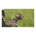 Collier d'entraînement pour chiens Company of Animals Halti Noir Muselière (51-73 cm)