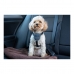 Imbracatura per Cani Company of Animals CarSafe Nero Taglia S