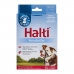 Trainingshalsbanden voor honden Company of Animals Halti Zwart Muilkorf (35-48 cm)