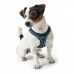 Imbracatura per Cani Hunter Hilo-Comfort Azzurro Taglia M/L (58-63 cm)